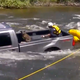 Illustration for article titled Dog Rides A Truck Into River Rapids, Harrowing Rescue Ensues